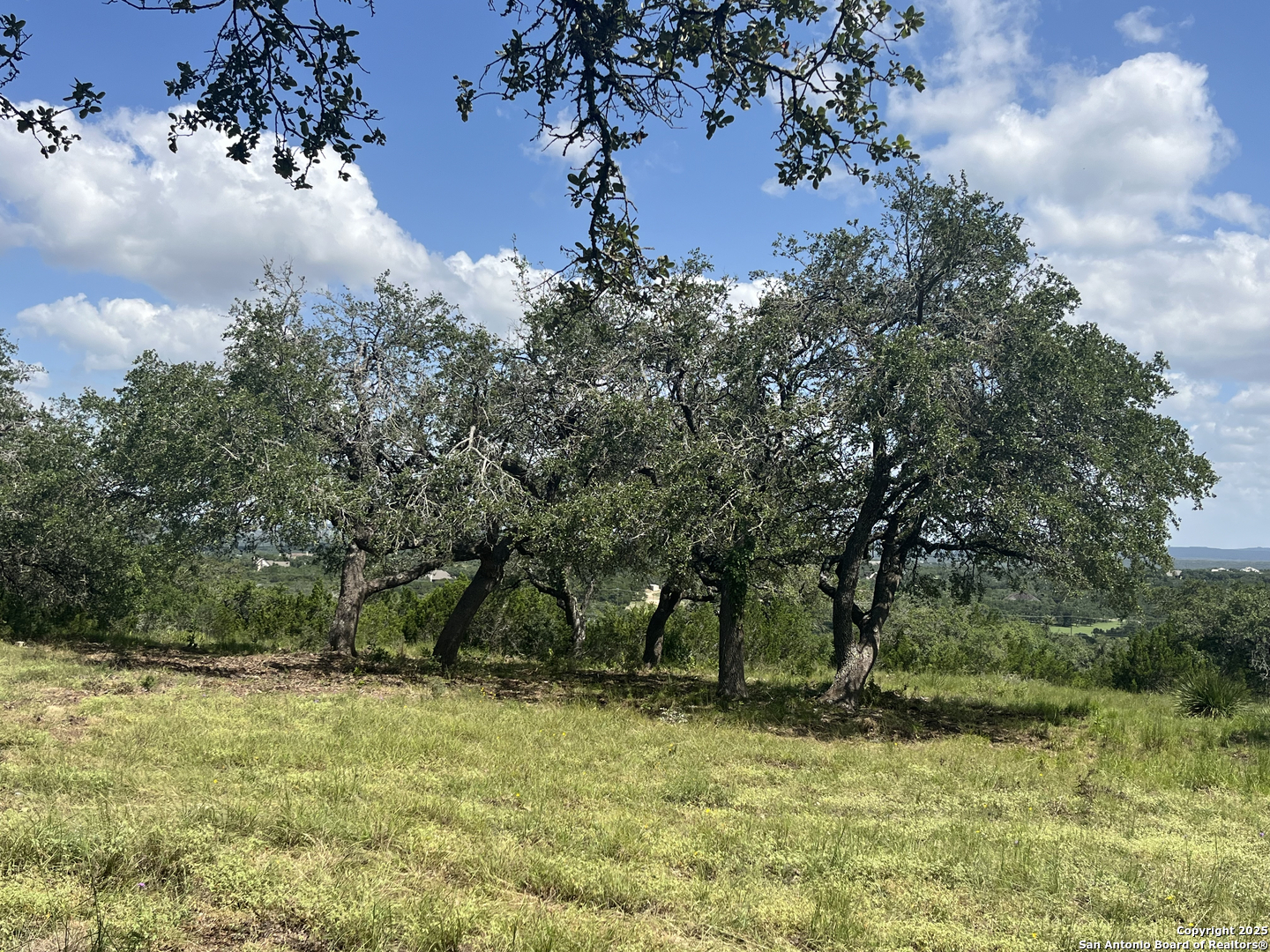 189 Cordillera Ridge Boerne, TX 78006 - Photo 26 of 33 a backyard of a house with lots of green space