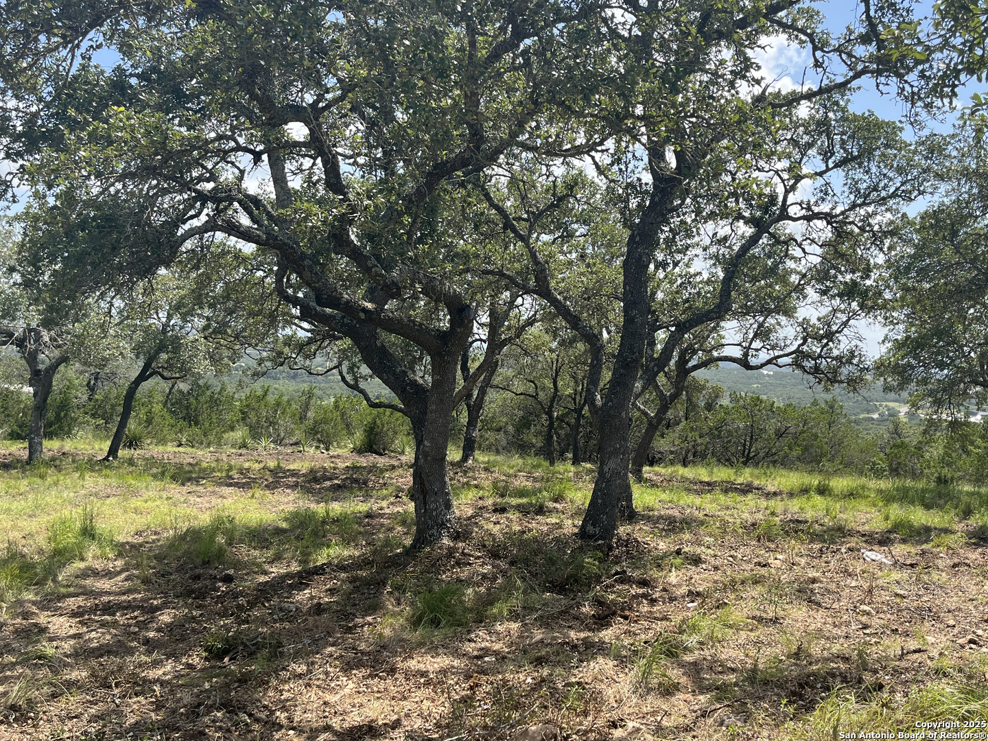 189 Cordillera Ridge Boerne, TX 78006 - Photo 29 of 33 a view of outdoor space with trees