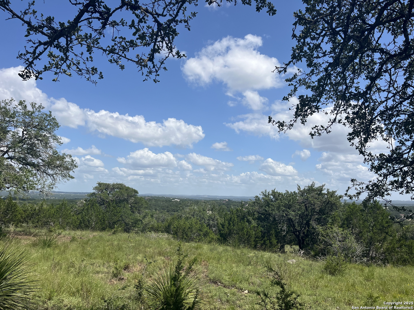 189 Cordillera Ridge Boerne, TX 78006 - Photo 3 of 33 a view of a city with lush green forest