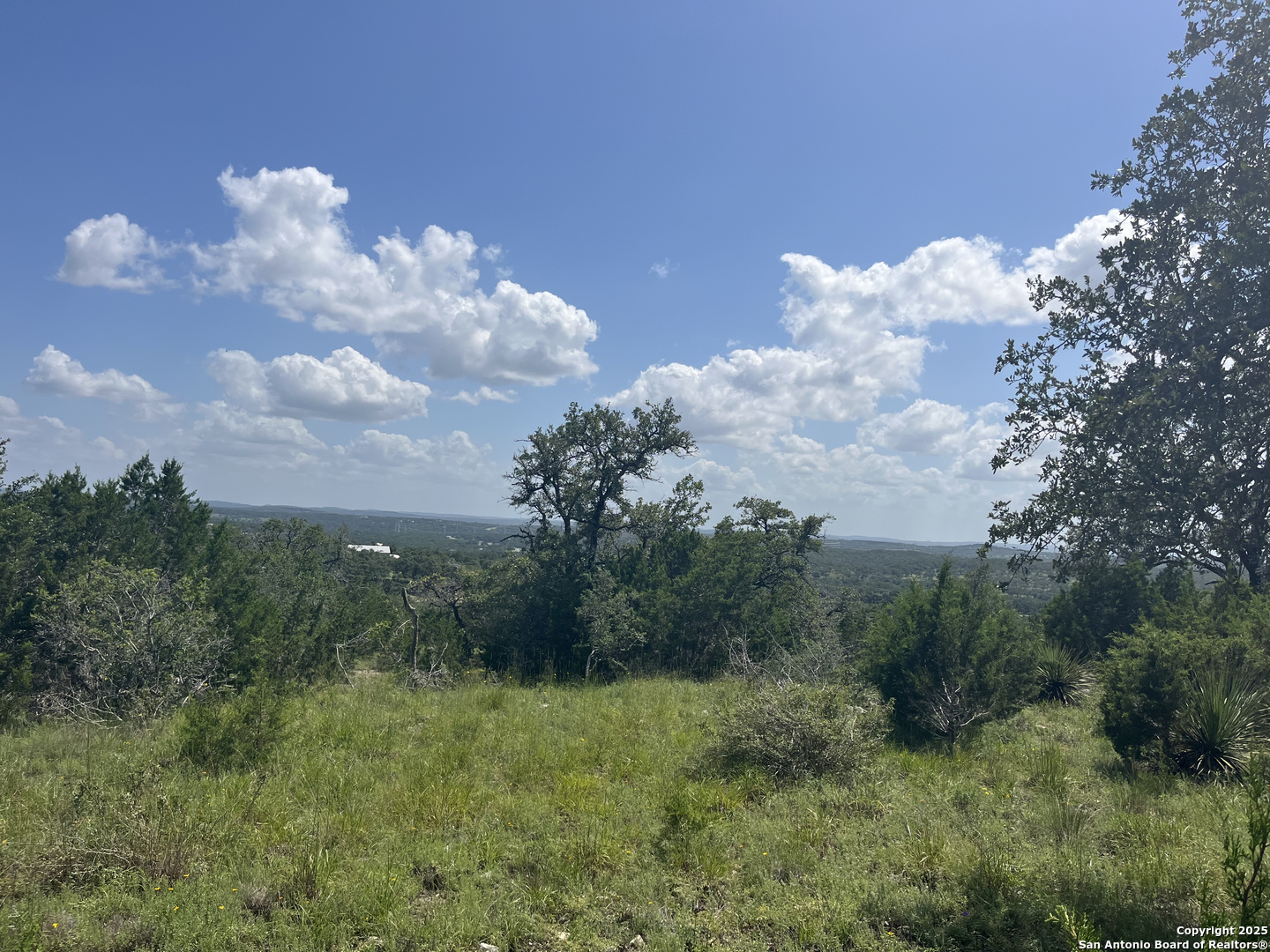 189 Cordillera Ridge Boerne, TX 78006 - Photo 5 of 33 a view of a big yard with potted plants and large trees