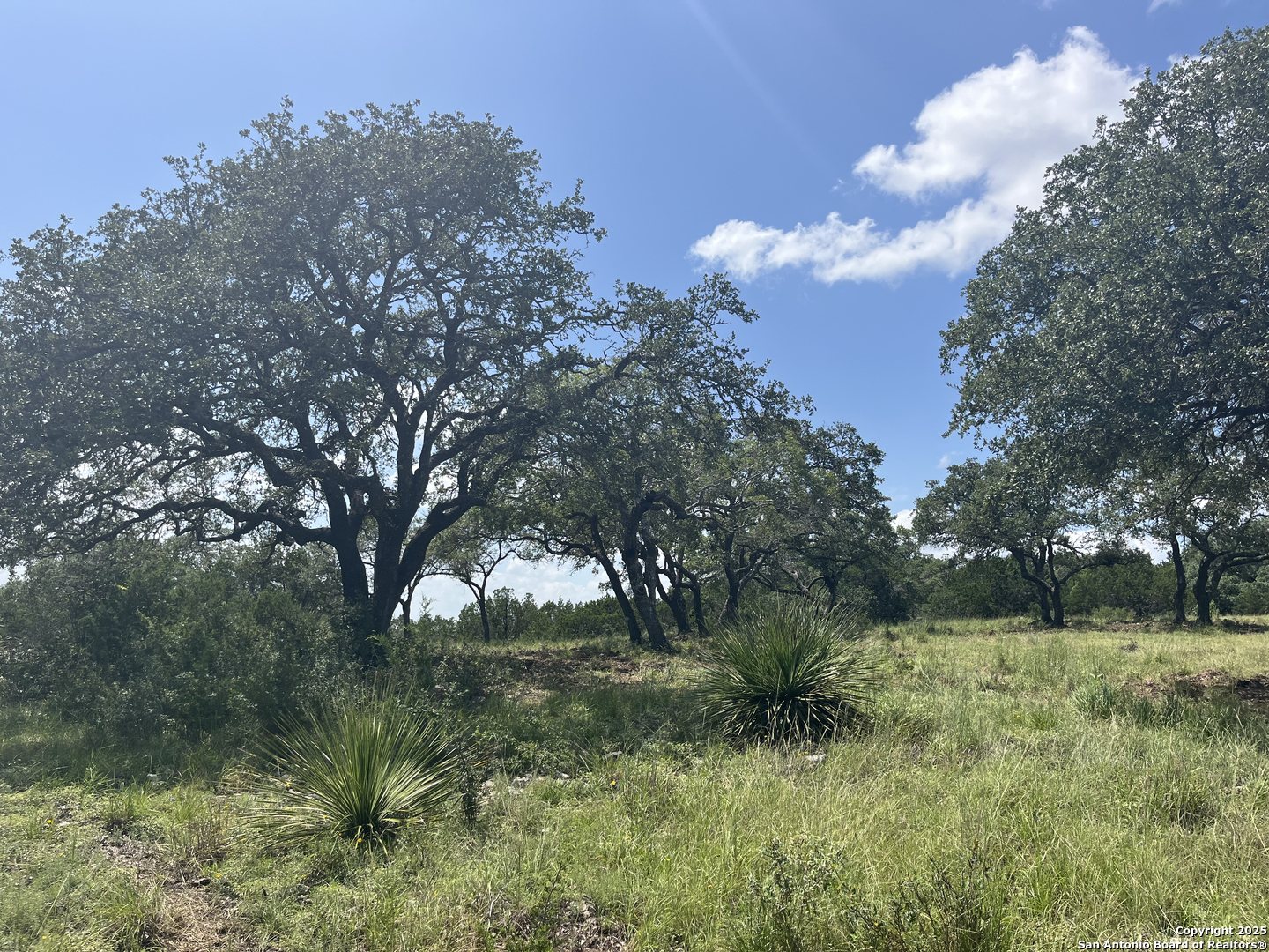 189 Cordillera Ridge Boerne, TX 78006 - Photo 6 of 33 a view of a big yard