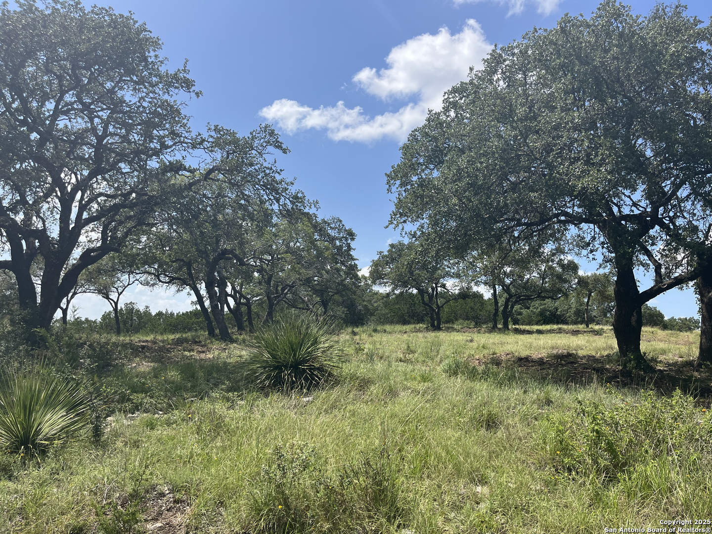 189 Cordillera Ridge Boerne, TX 78006 - Photo 8 of 33 a view of outdoor space with trees all around