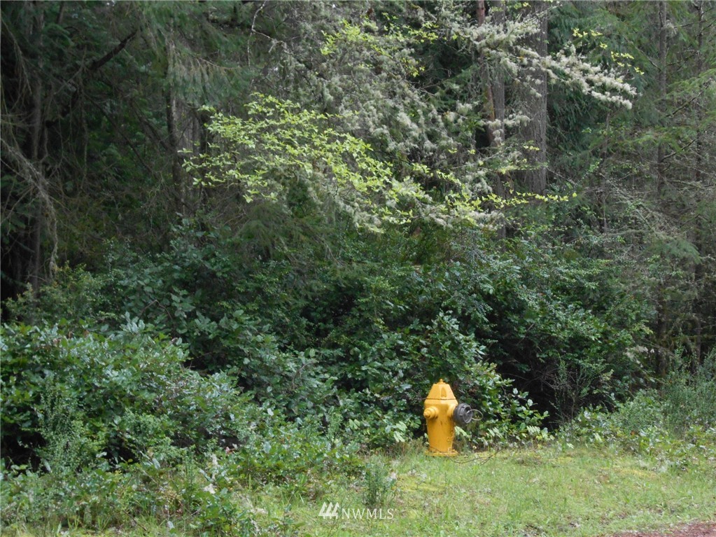 8914 Otso Point Road Anderson Island, WA 98303 - Photo 2 of 9