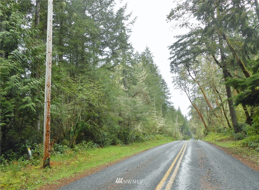 8914 Otso Point Road Anderson Island, WA 98303 - Photo 3 of 9