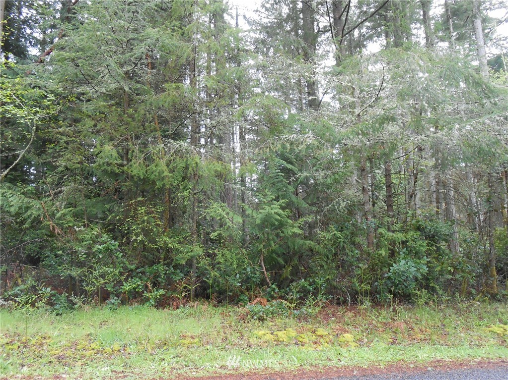 8914 Otso Point Road Anderson Island, WA 98303 - Photo 4 of 9