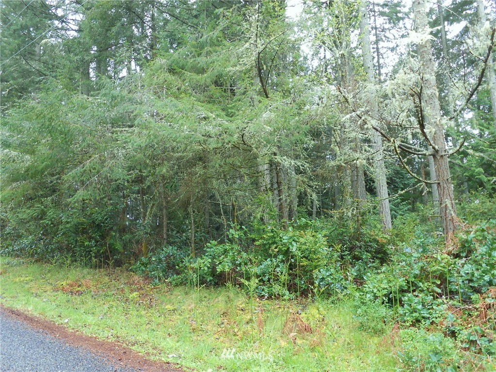 8914 Otso Point Road Anderson Island, WA 98303 - Photo 5 of 9