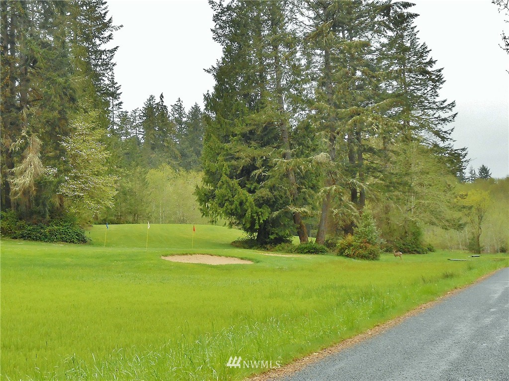 8914 Otso Point Road Anderson Island, WA 98303 - Photo 9 of 9