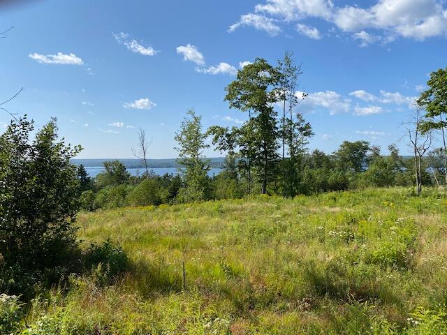 Lot #7 Cape Jellison Road Stockton Springs, ME 04981 - Photo 14 of 15 IMG_1586