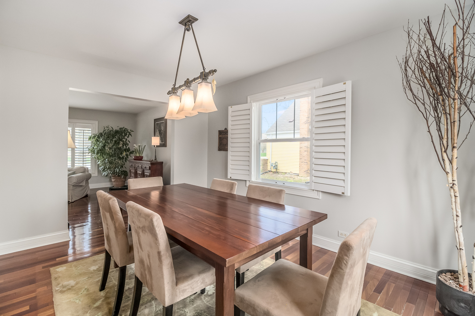 1220 Modaff Road Naperville, IL 60540 - Photo 14 of 38