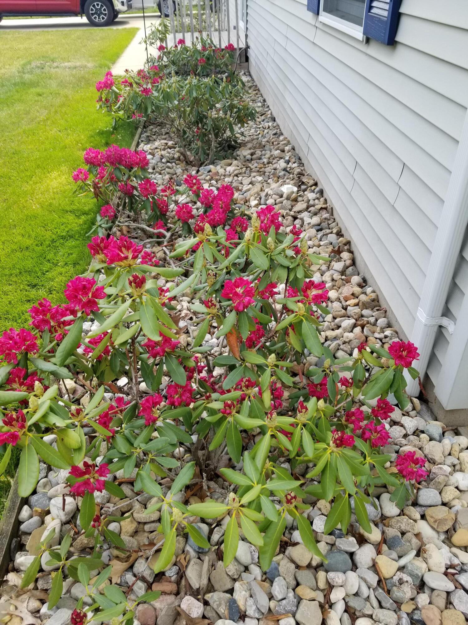 5853 Ridge Road Stevensville, MI 49127 - Photo 5 of 40 1000010404