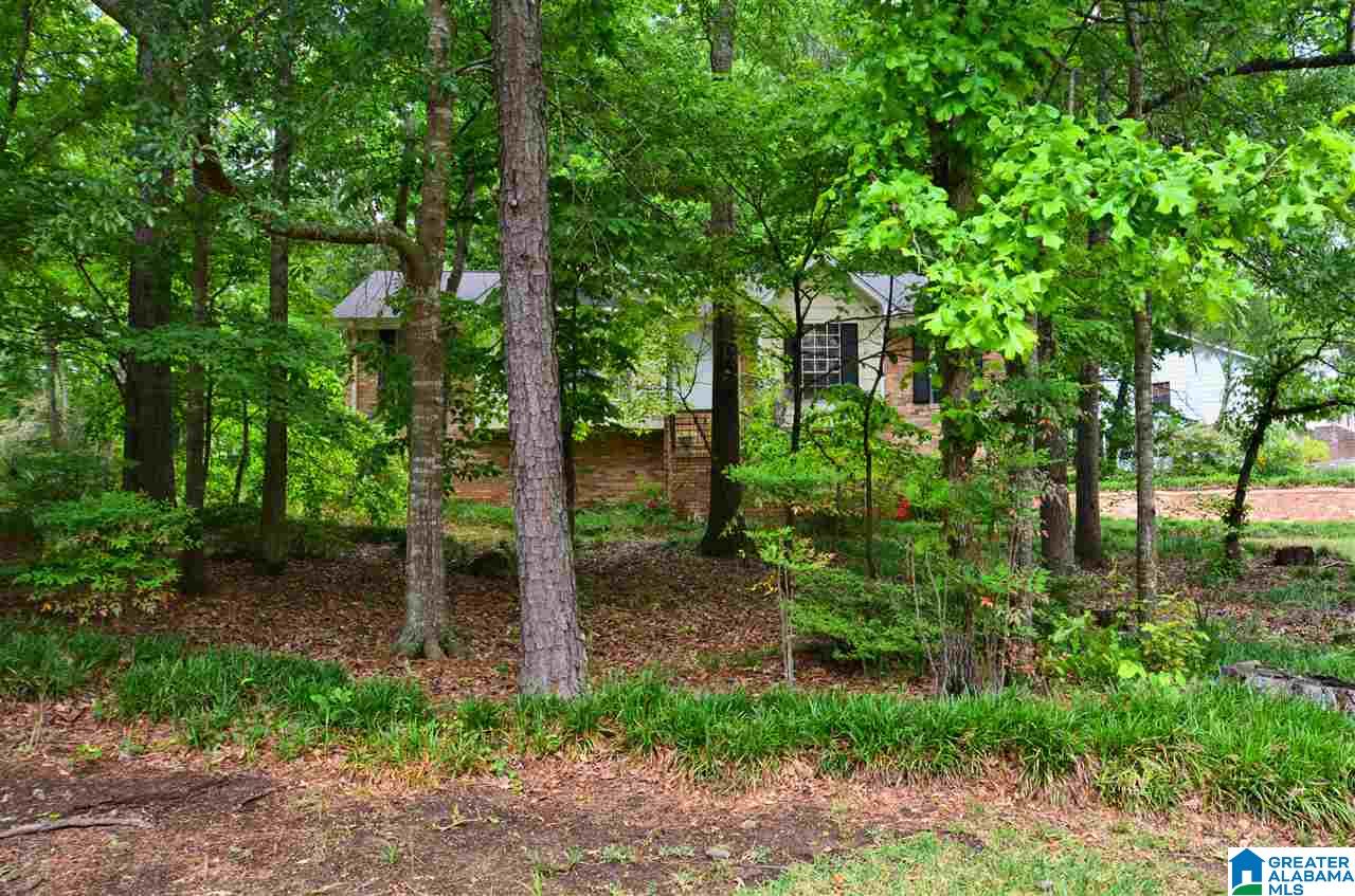 4512 Oxford Road Birmingham, AL 35242 - Photo 2 of 49