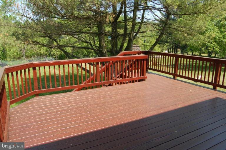 Deck - View from