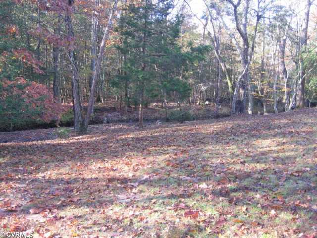 10305 Qualla Road Chesterfield, VA 23832 - Photo 9 of 12 Land/Lot