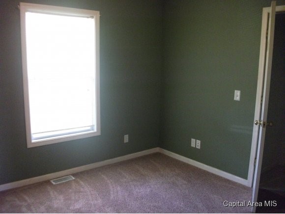310 Polk Street Athens, IL 62613 - Photo 11 of 22 Gallery Image 11