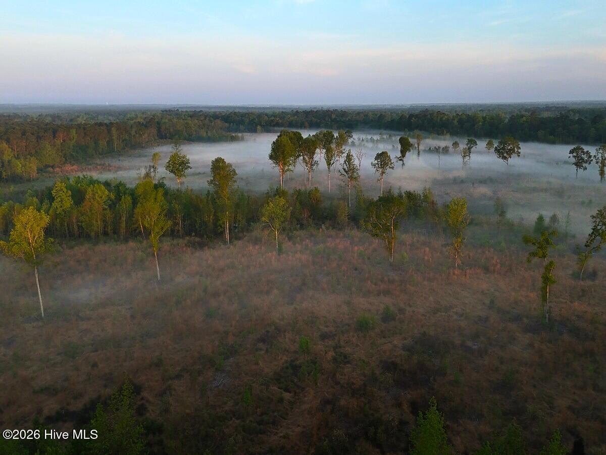 0 Durwood Evans Road Beulaville, NC 28518 - Photo 59 of 68 59.