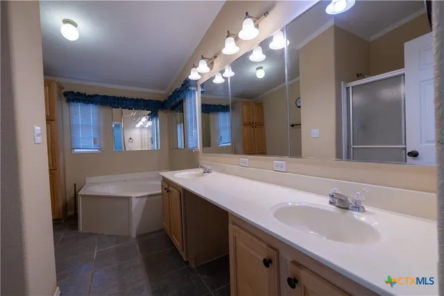 a bathroom with a sink a large mirror and a bathtub