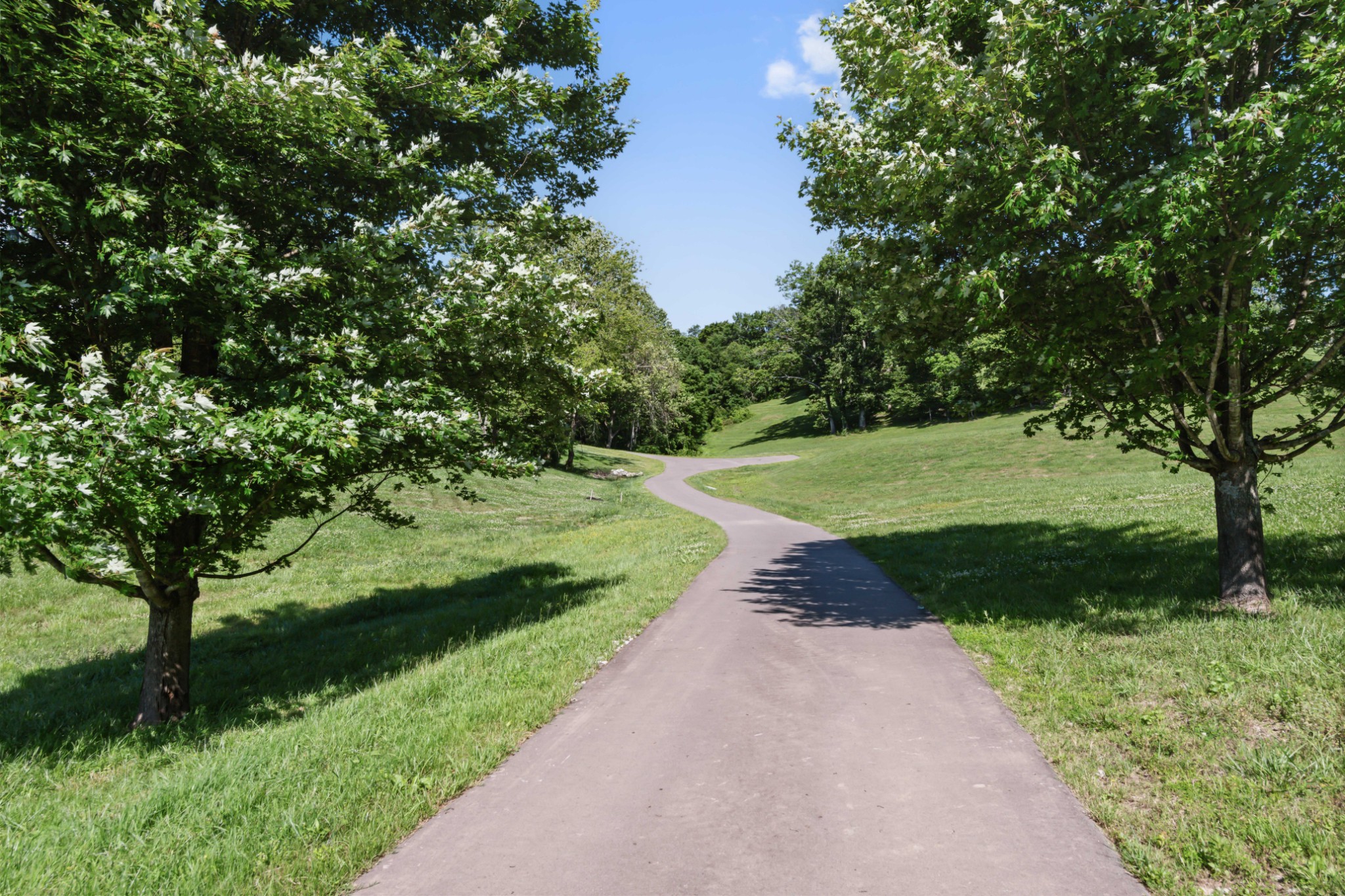 3551 Bailey Road Franklin, TN 37064 - Photo 40 of 52 a view of street view with outdoor space