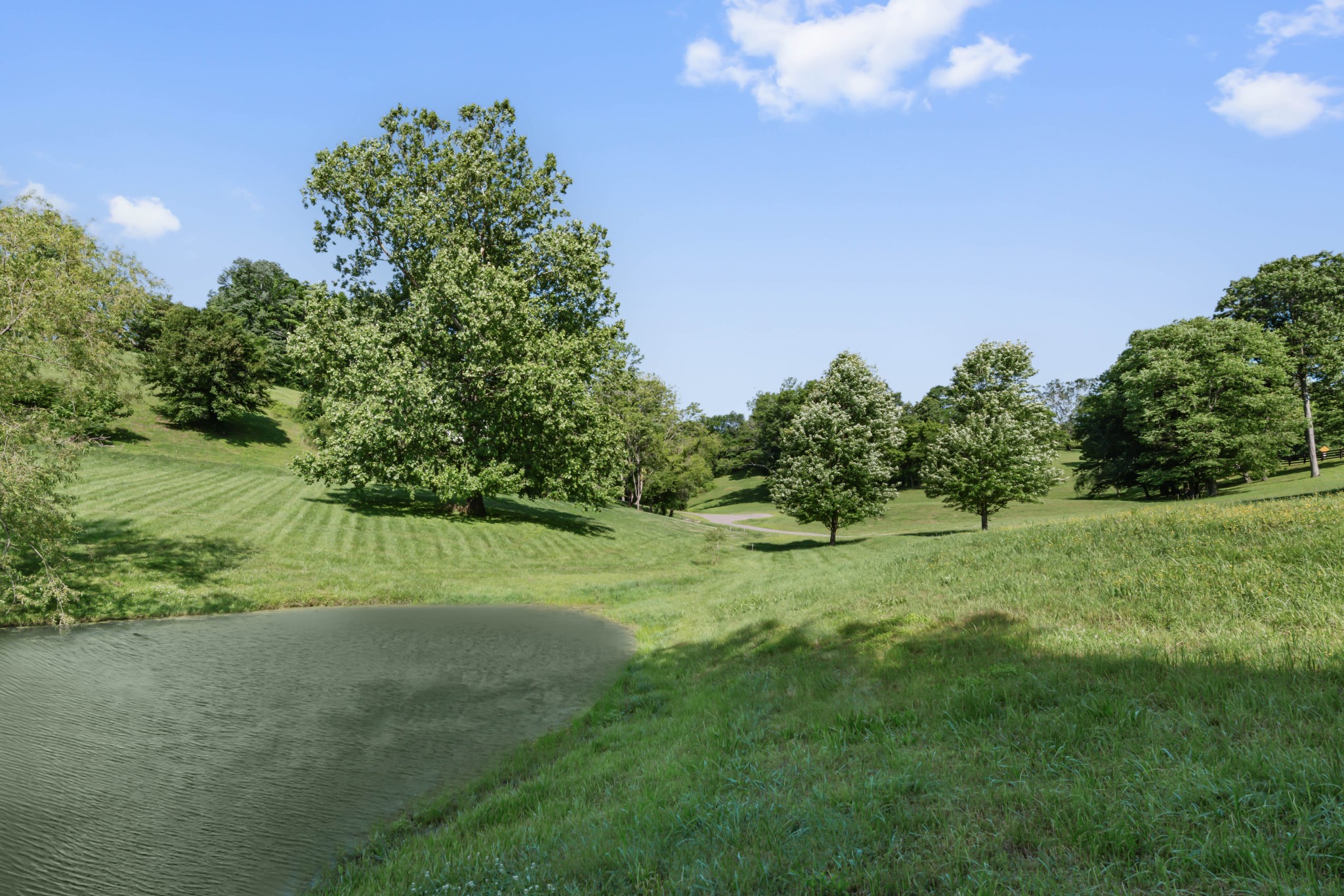 3551 Bailey Road Franklin, TN 37064 - Photo 41 of 52 a yard with trees in the background