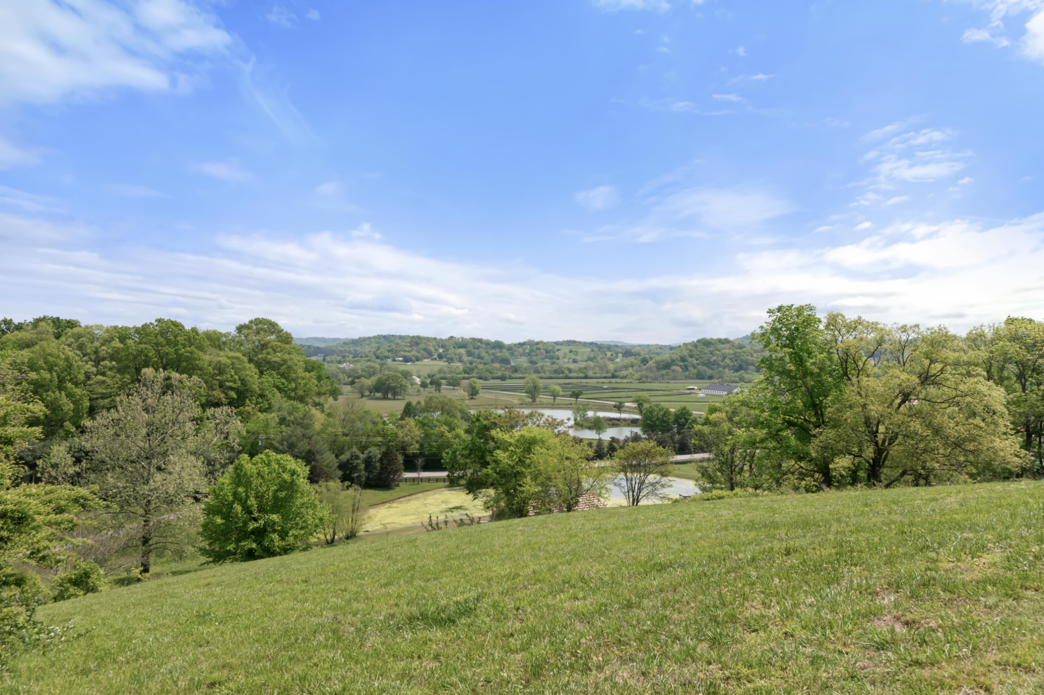 3551 Bailey Road Franklin, TN 37064 - Photo 42 of 52 a view of a city with lush green forest