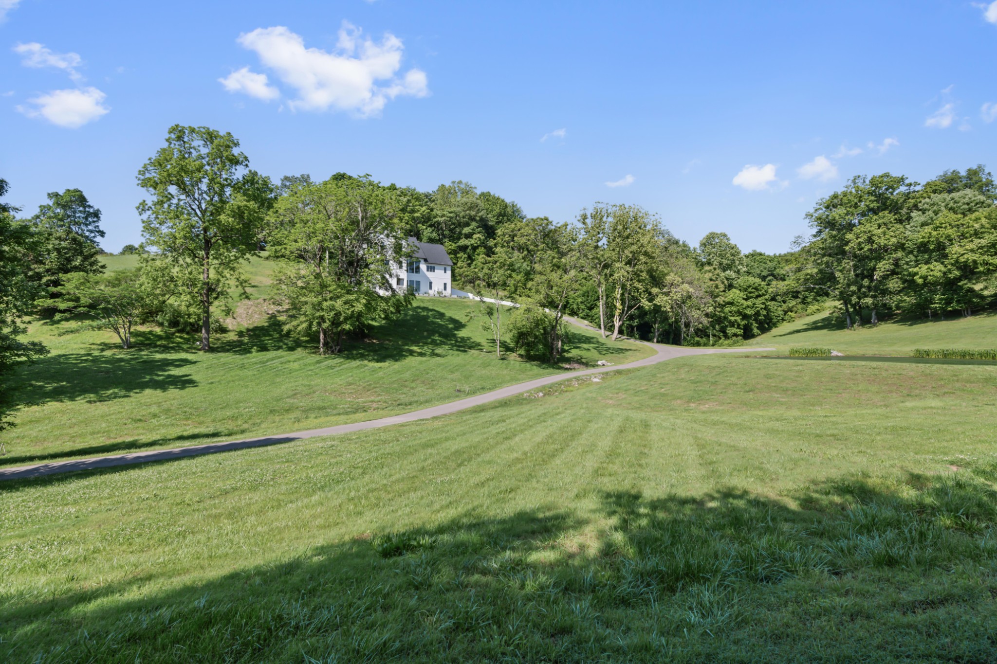 3551 Bailey Road Franklin, TN 37064 - Photo 46 of 52 a view of a field with an trees