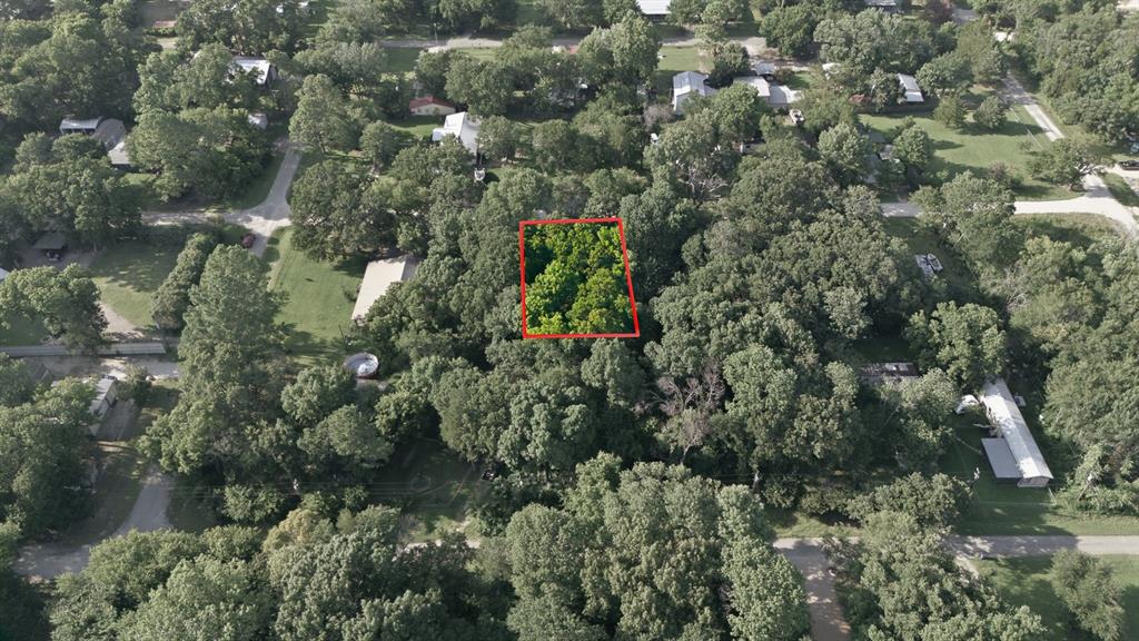 Tbd Mapuana Road Sadler, TX 76264 - Photo 14 of 19