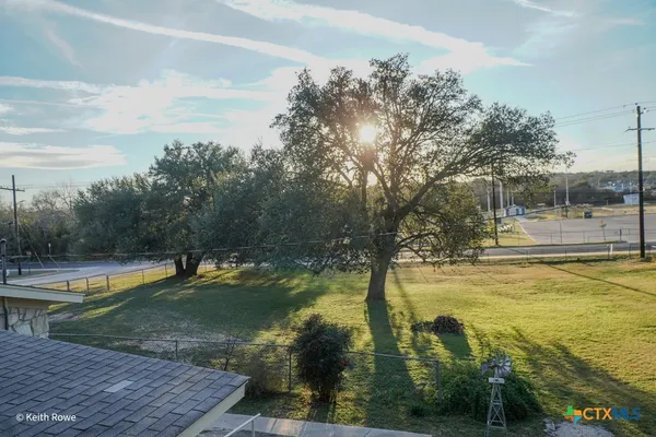 a view of a yard with plants and trees