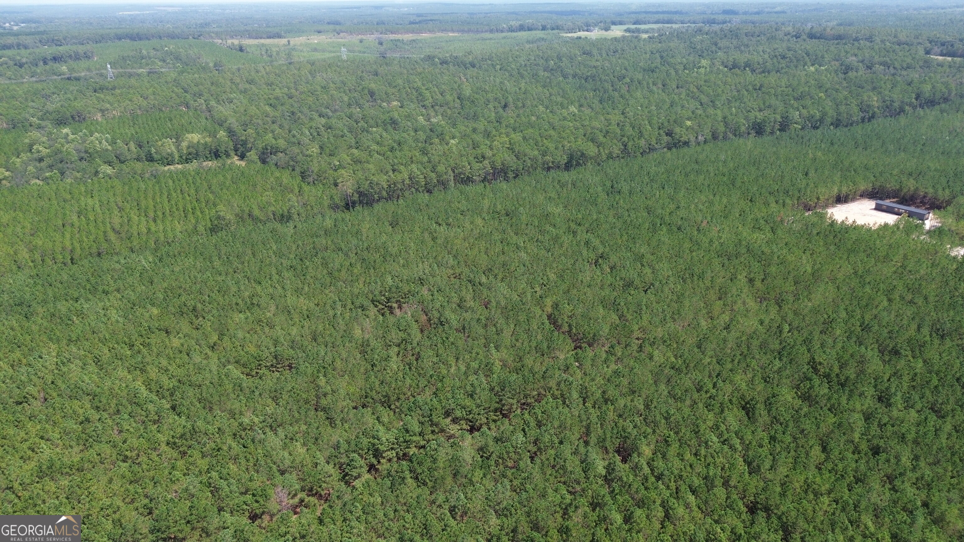 Tract 3 Penny Morris Road Baxley, GA 31513 - Photo 5 of 8 Gallery Image 5