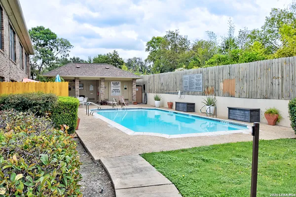 a view of a backyard with a garden and plants