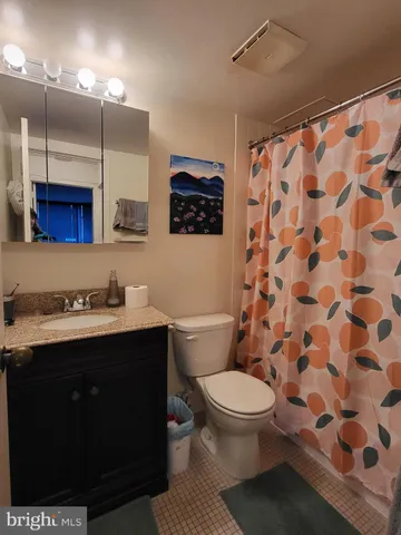 a bathroom with a sink a toilet a shower and a mirror
