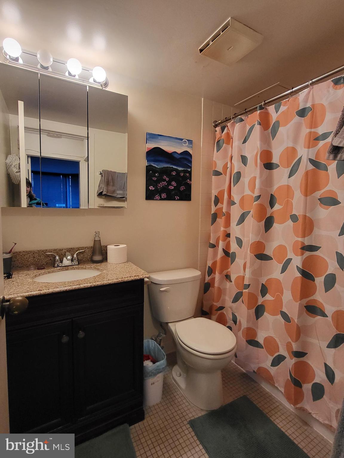 2020 Walnut Street, Unit 8K Philadelphia, PA 19103 - Photo 6 of 19 a bathroom with a sink a toilet a shower and a mirror