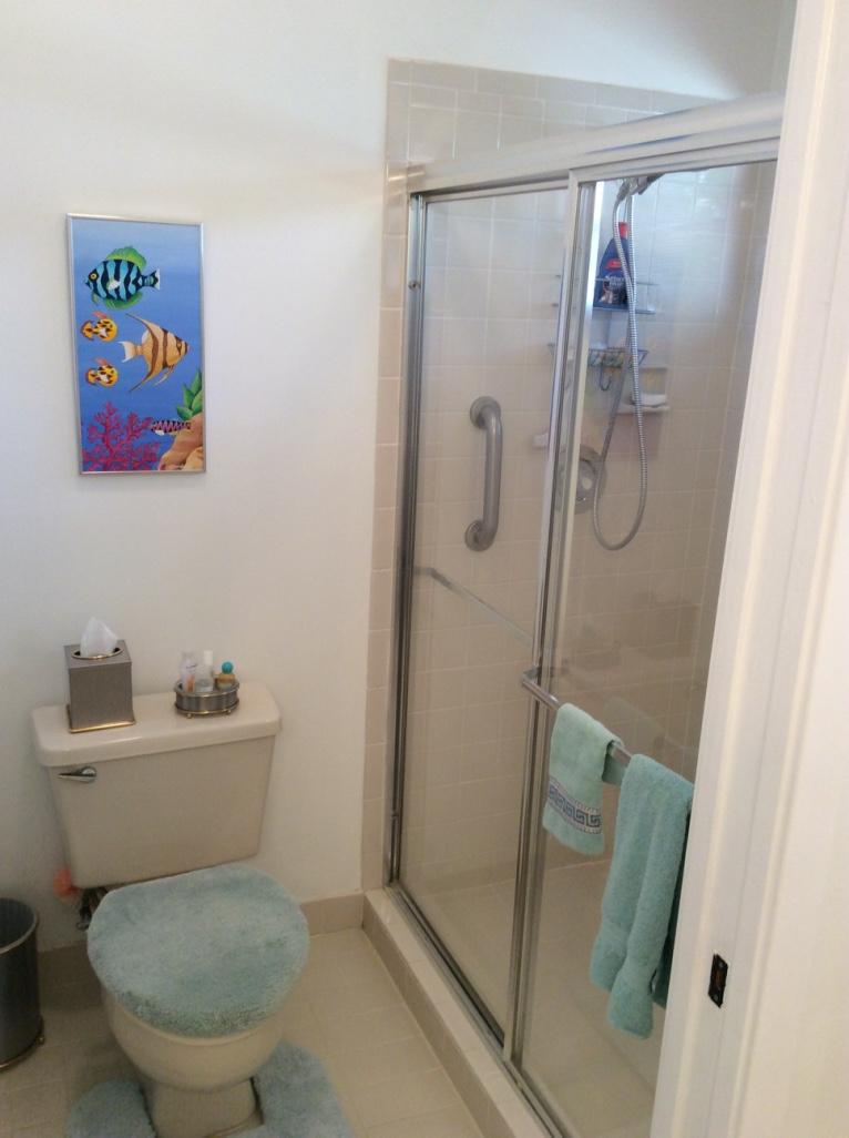 5204 Majorca Club Drive Boca Raton, FL 33486 - Photo 25 of 46 SHOWER MASTER BR