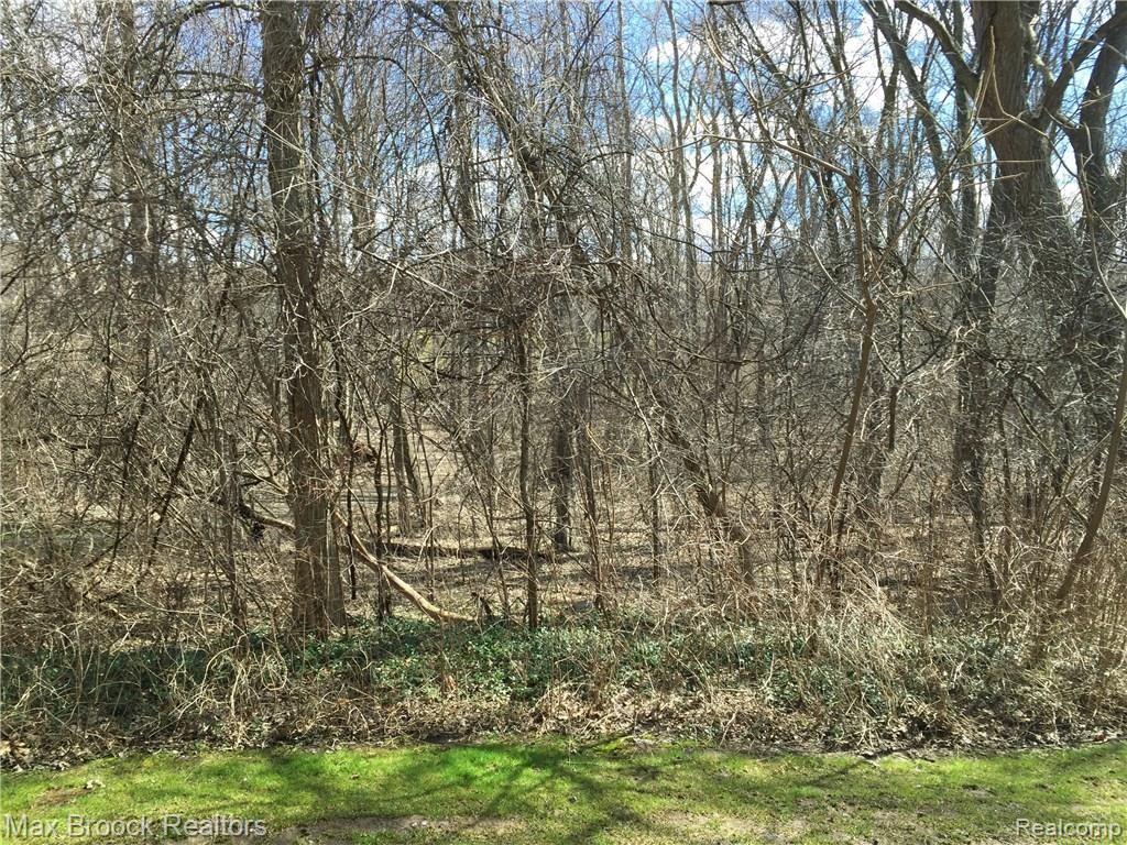 21990 River Ridge Trail, Unit 70 Farmington, MI 48335 - Photo 19 of 27 Private, wooded setting