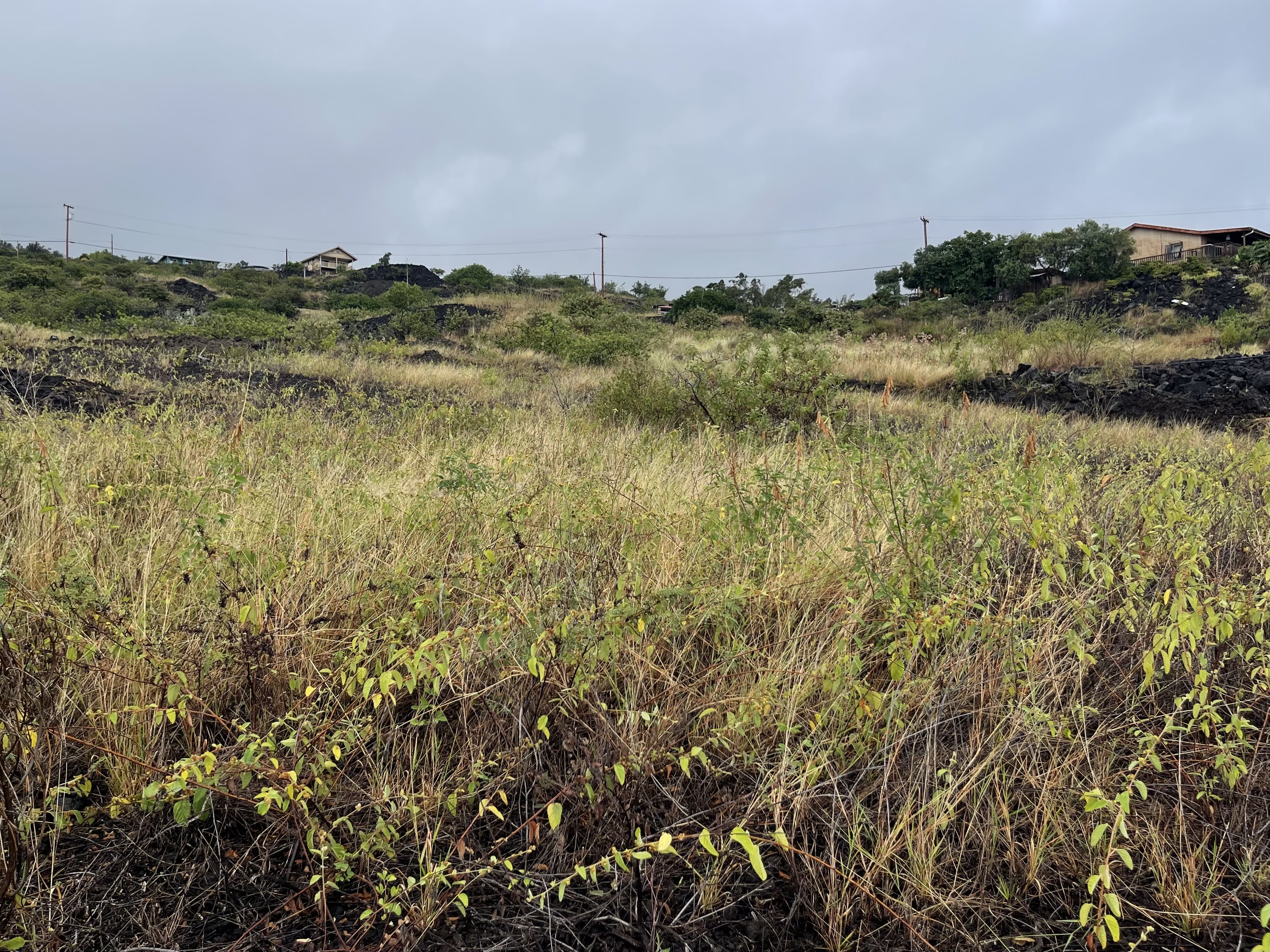 3 Milolii Road Captain Cook, HI 96704 - Photo 11 of 14 a view of lake and mountain