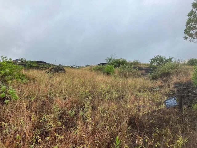 a view of a lake and green valley