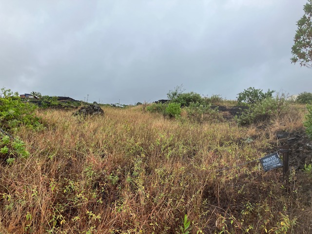 3 Milolii Road Captain Cook, HI 96704 - Photo 3 of 14 a view of a lake and green valley