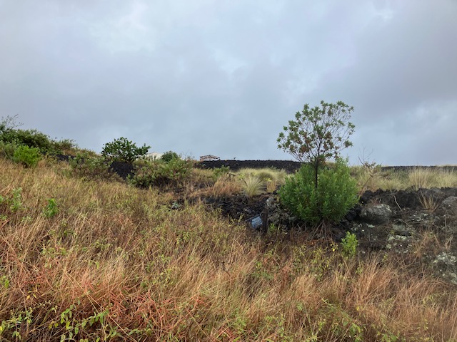 3 Milolii Road Captain Cook, HI 96704 - Photo 4 of 14 a view of a lake