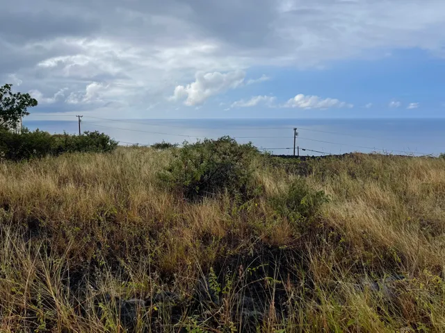 a big yard with lots of green space
