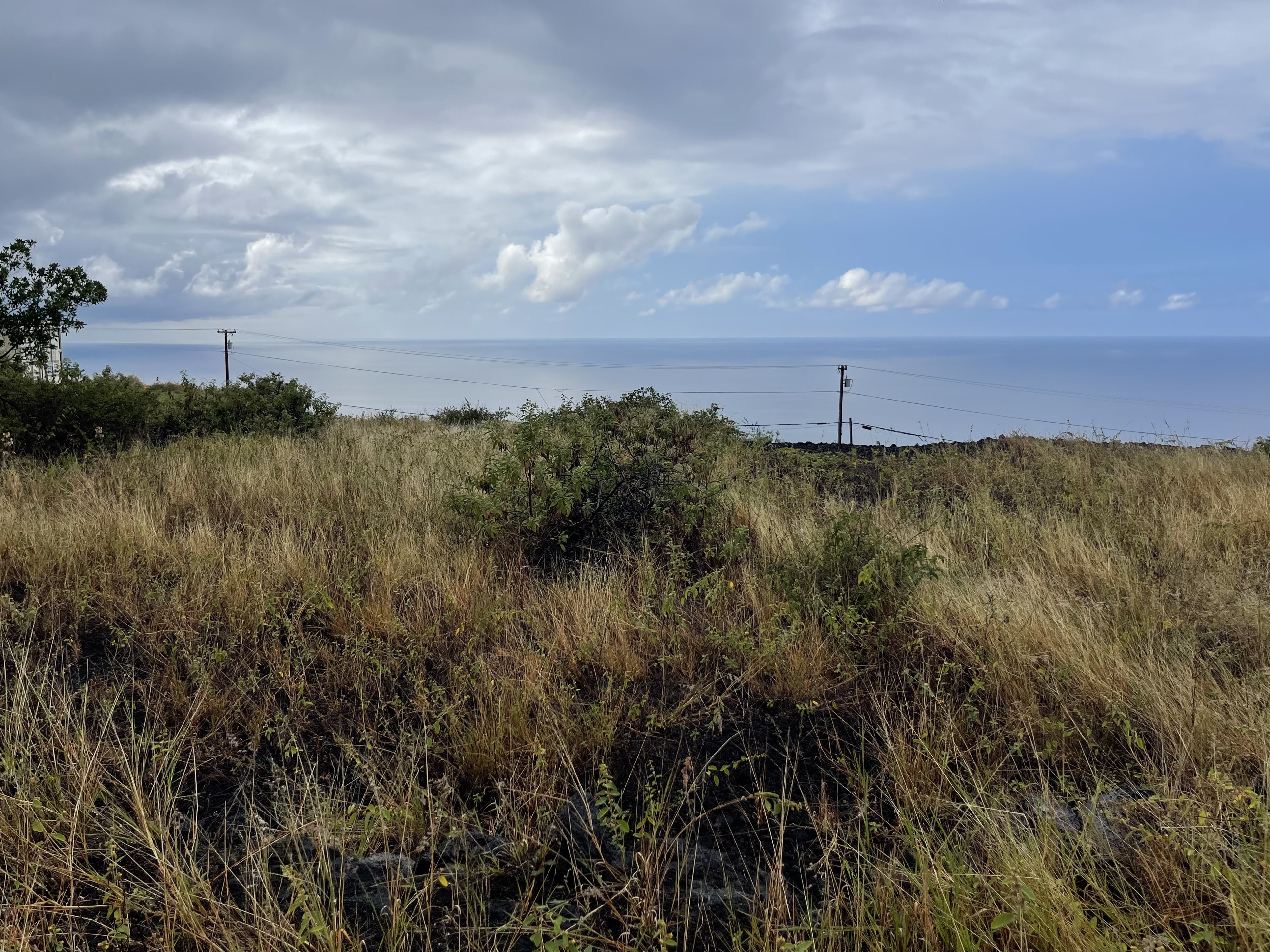 3 Milolii Road Captain Cook, HI 96704 - Photo 5 of 14