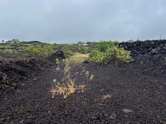 a view of a lake next to a yard