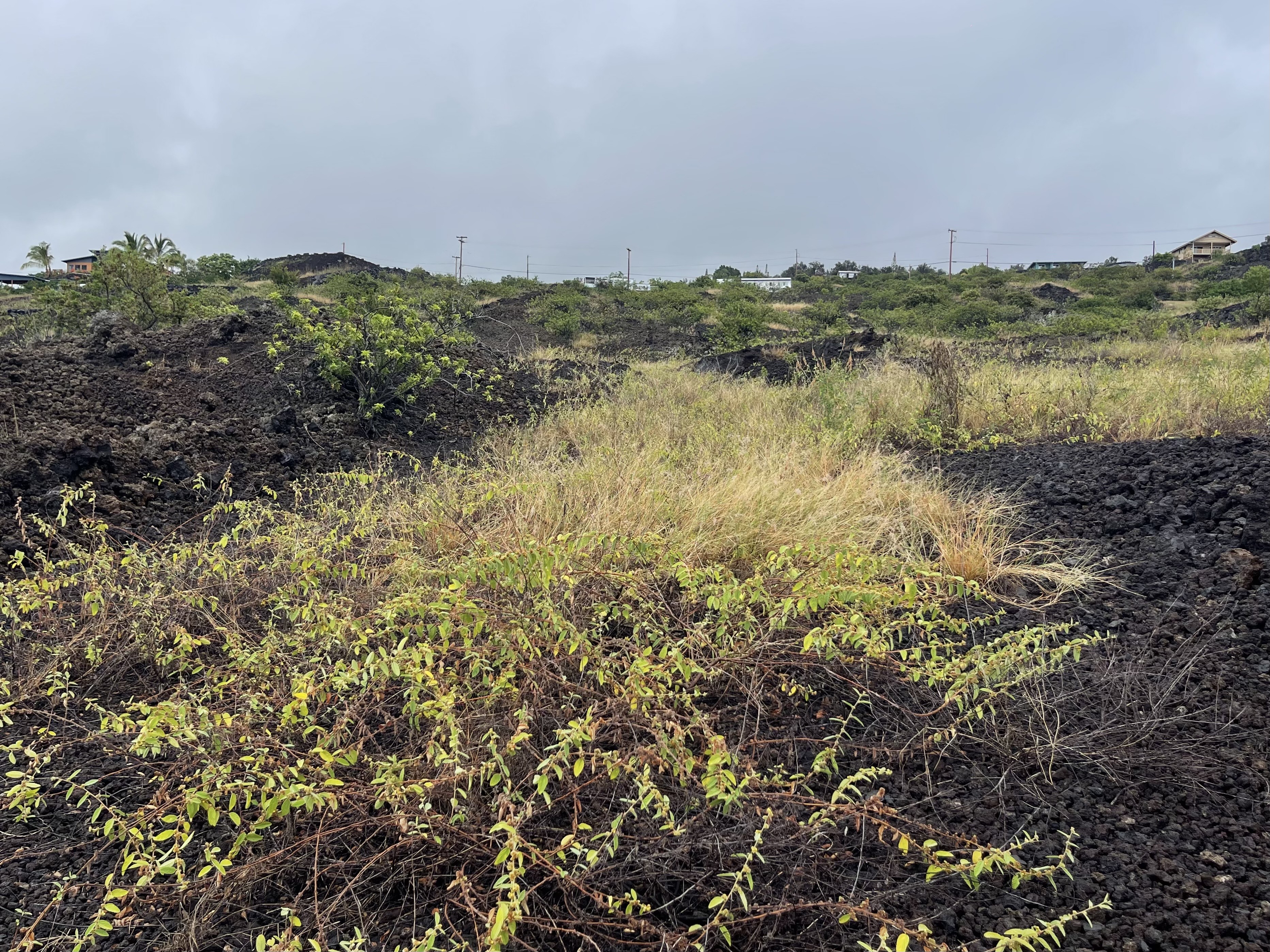 3 Milolii Road Captain Cook, HI 96704 - Photo 10 of 14