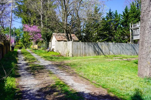 a small garden covered with tall trees