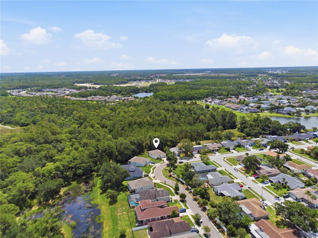 3944 Watson Drive New Port Richey, FL 34655 - Photo 41 of 42