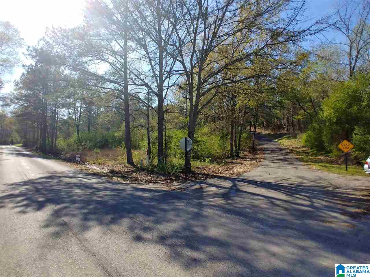 0 Roberts Mill Pond Road, Unit 1 39 Pell City, AL 35128 - Photo 1 of 29