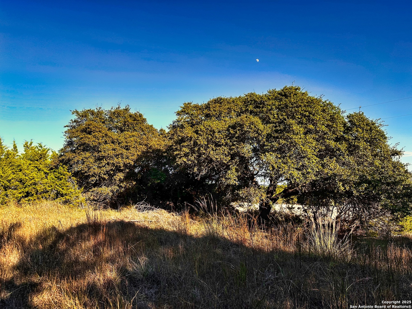 628 Indian Trail Spring Branch, TX 78070 - Photo 1 of 13 a view of a lake
