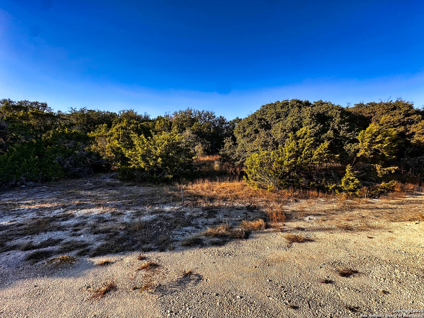628 Indian Trail Spring Branch, TX 78070 - Photo 11 of 13 a view of a yard with a tree