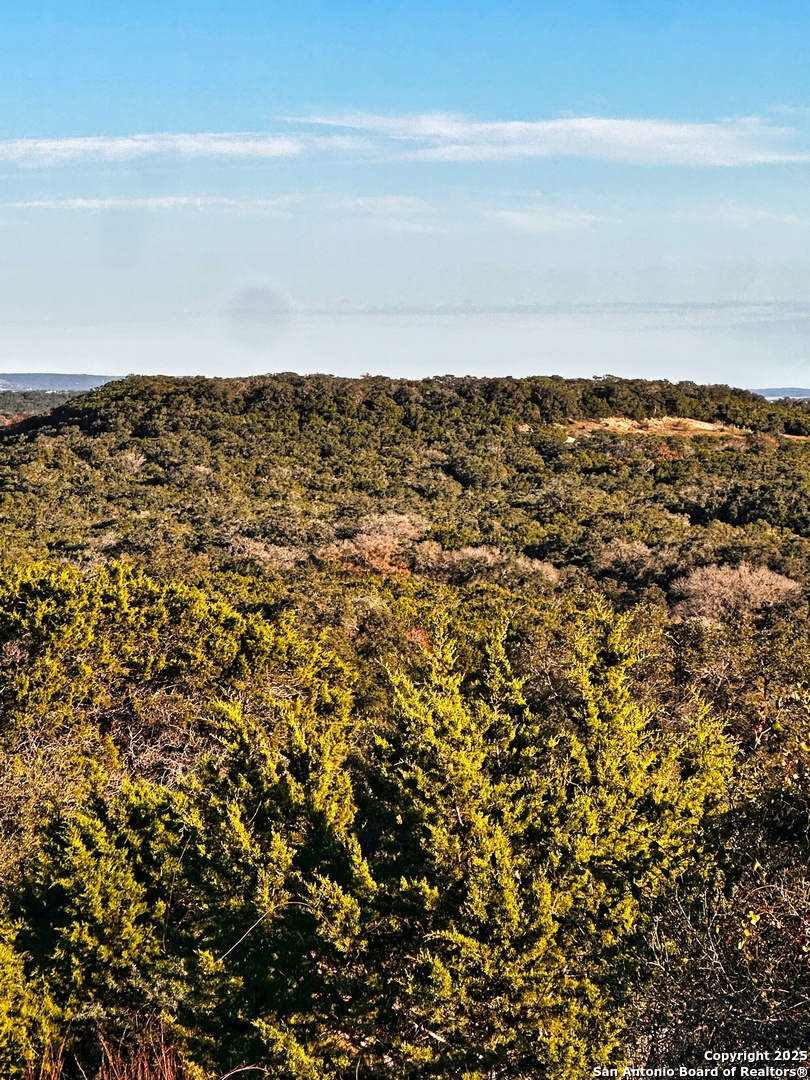 628 Indian Trail Spring Branch, TX 78070 - Photo 12 of 13 a view of an ocean