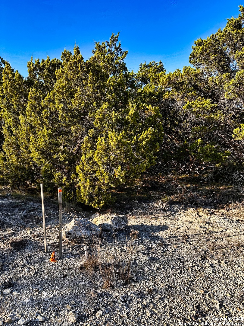628 Indian Trail Spring Branch, TX 78070 - Photo 2 of 13 a backyard of a house with lots of green space