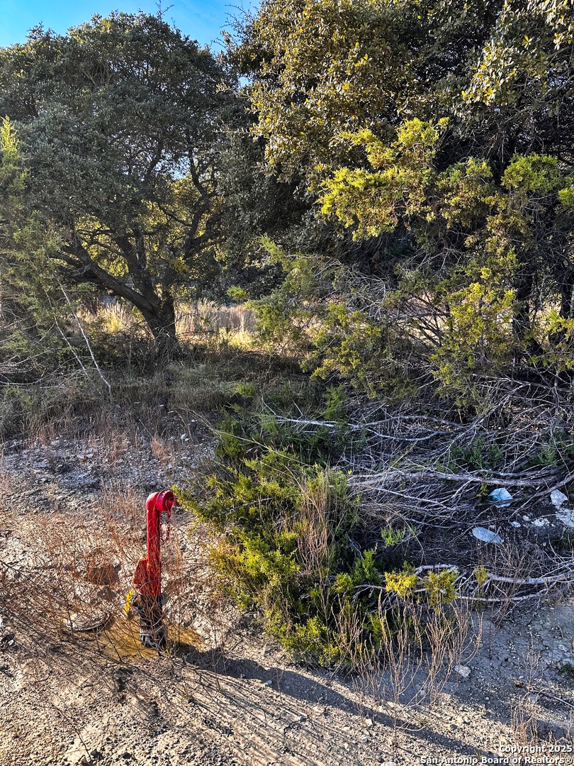 628 Indian Trail Spring Branch, TX 78070 - Photo 3 of 13 a flag view