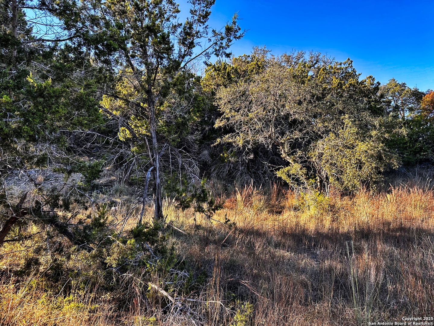 628 Indian Trail Spring Branch, TX 78070 - Photo 6 of 13 a view of a yard