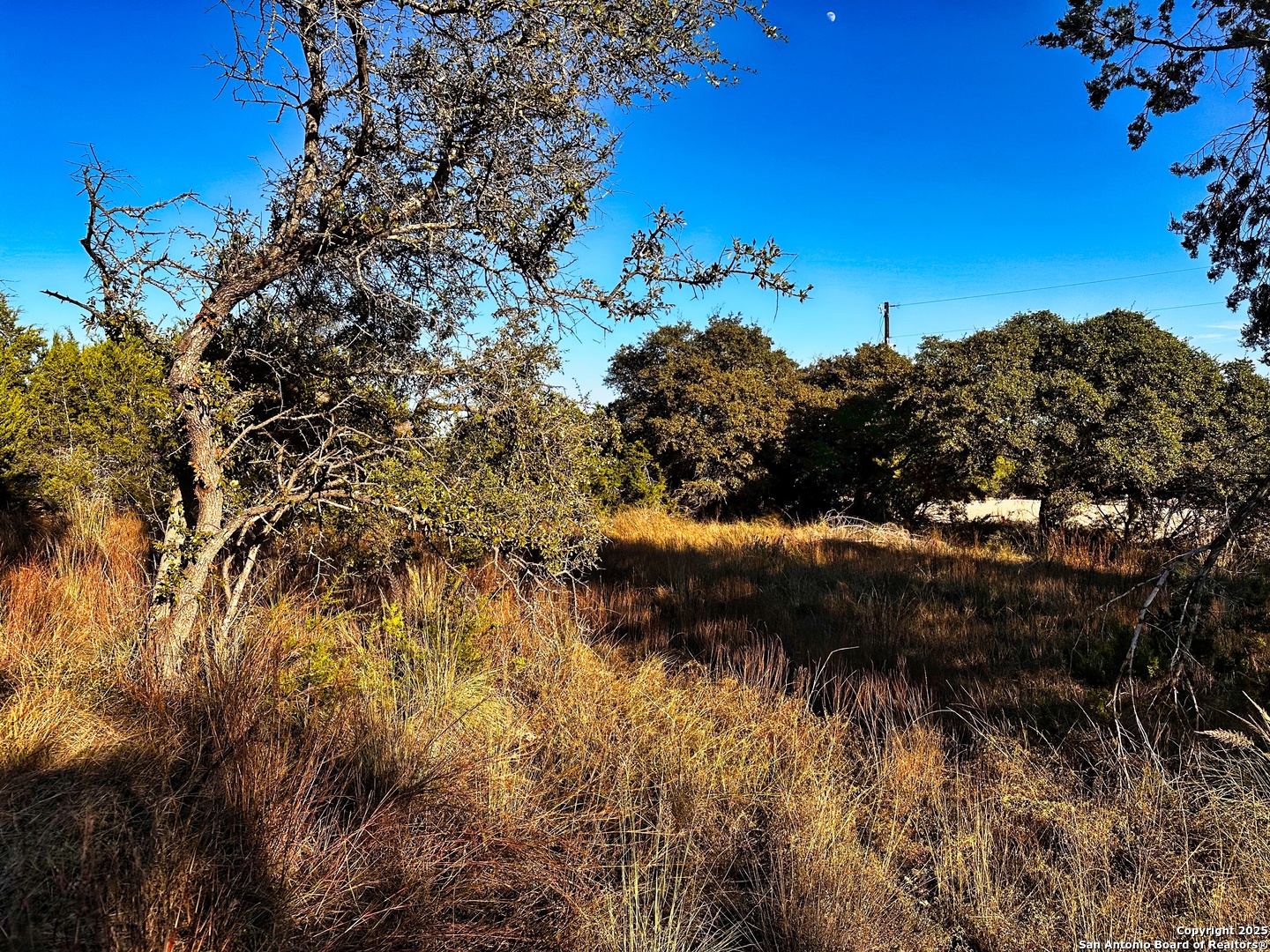 628 Indian Trail Spring Branch, TX 78070 - Photo 7 of 13 a view of a bunch of trees in a background